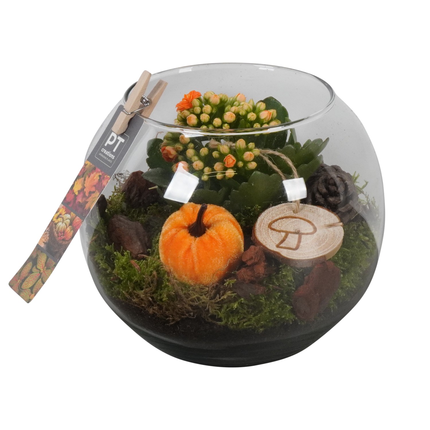 Picture of PTHG1731 Arrangement Autumn in glass ball P17 17cm