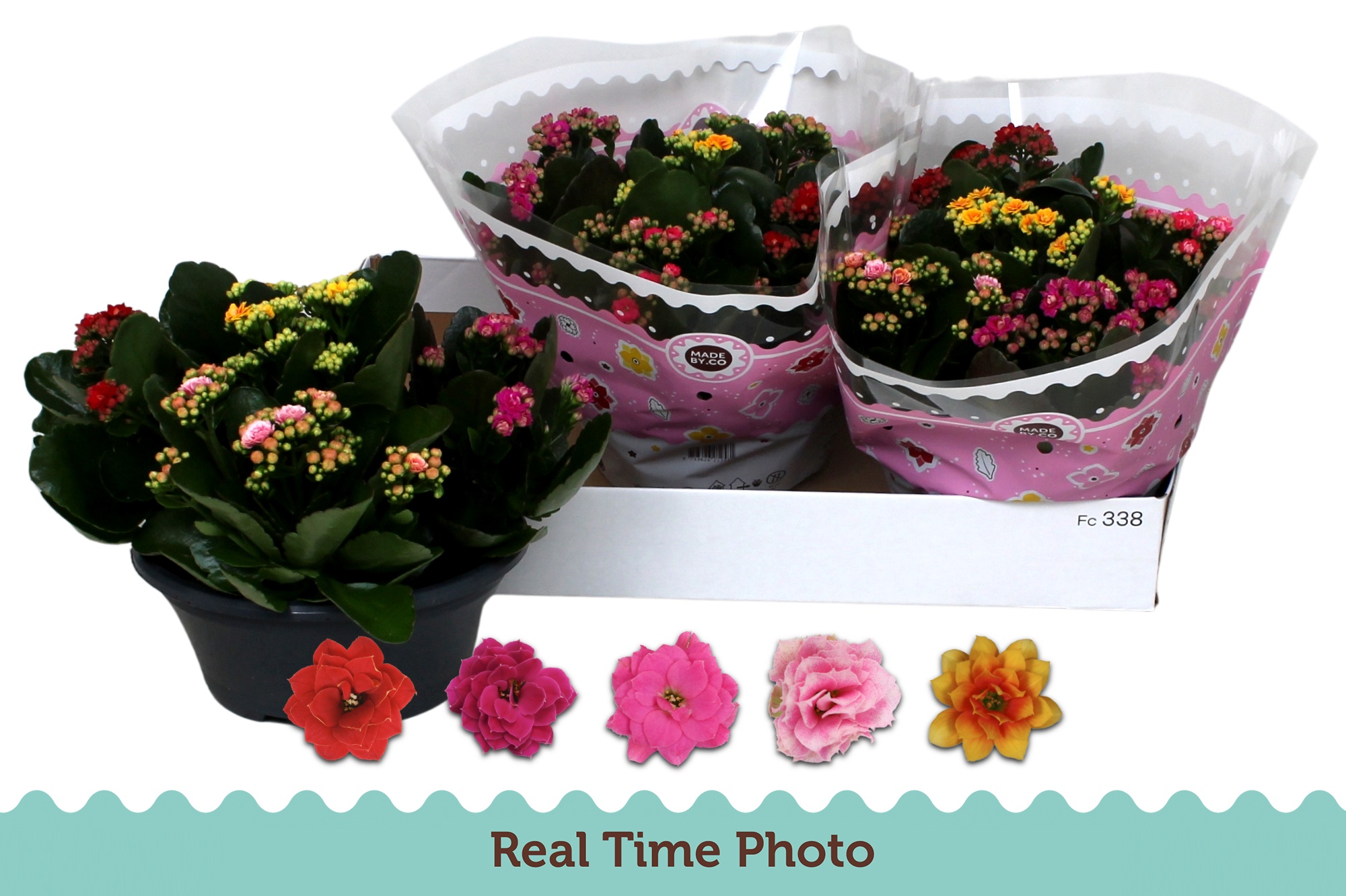 Kalan B Ge Gem I Pot 23Ø 25cm