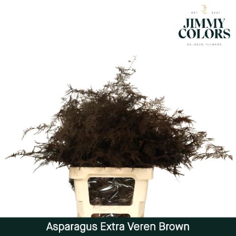 Aspa Extra Veren Brown