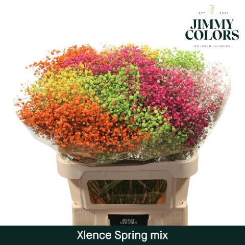 Gyps Xlence L80 Spring Mix