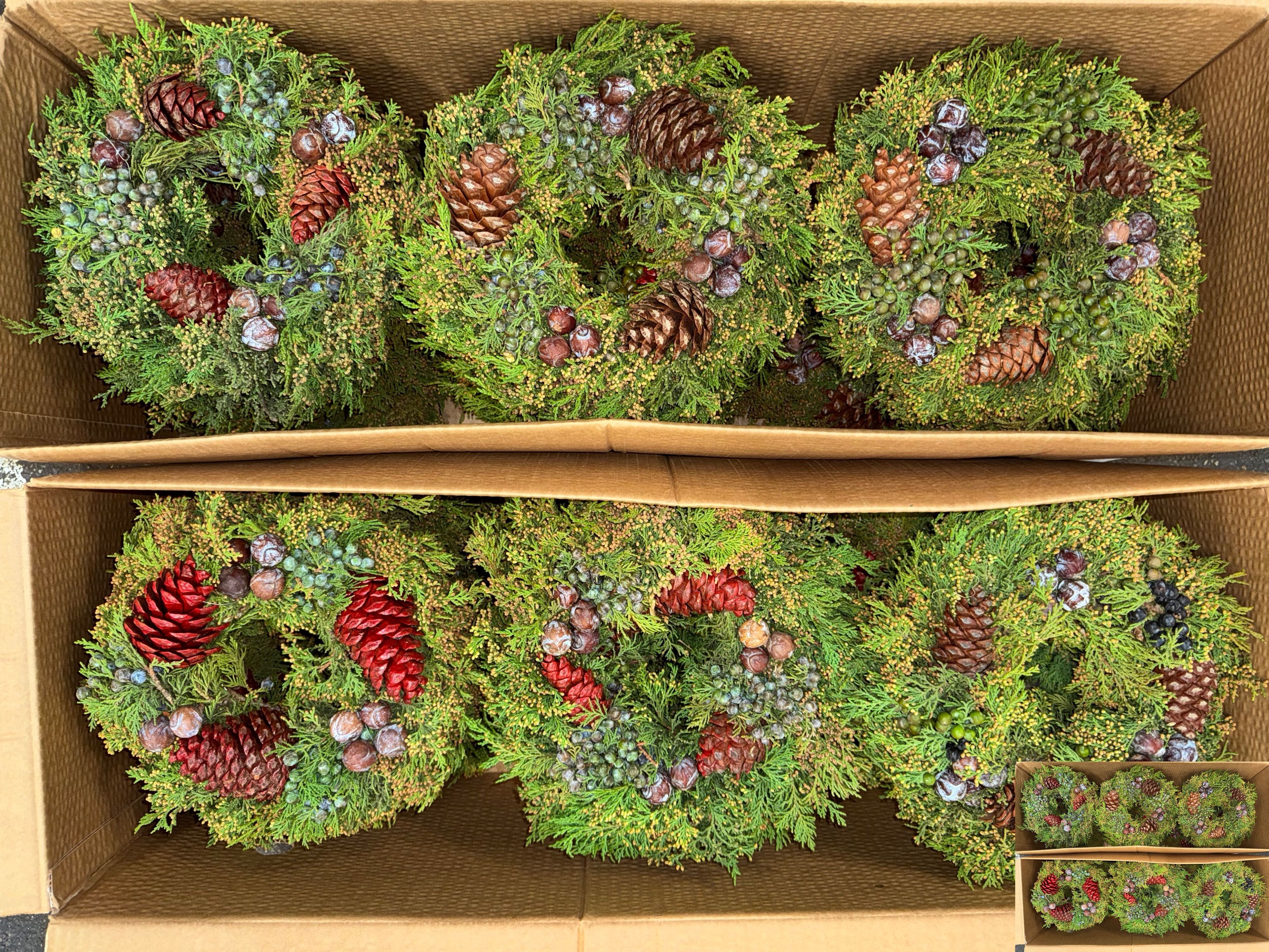 Fruits Malus Per Piece