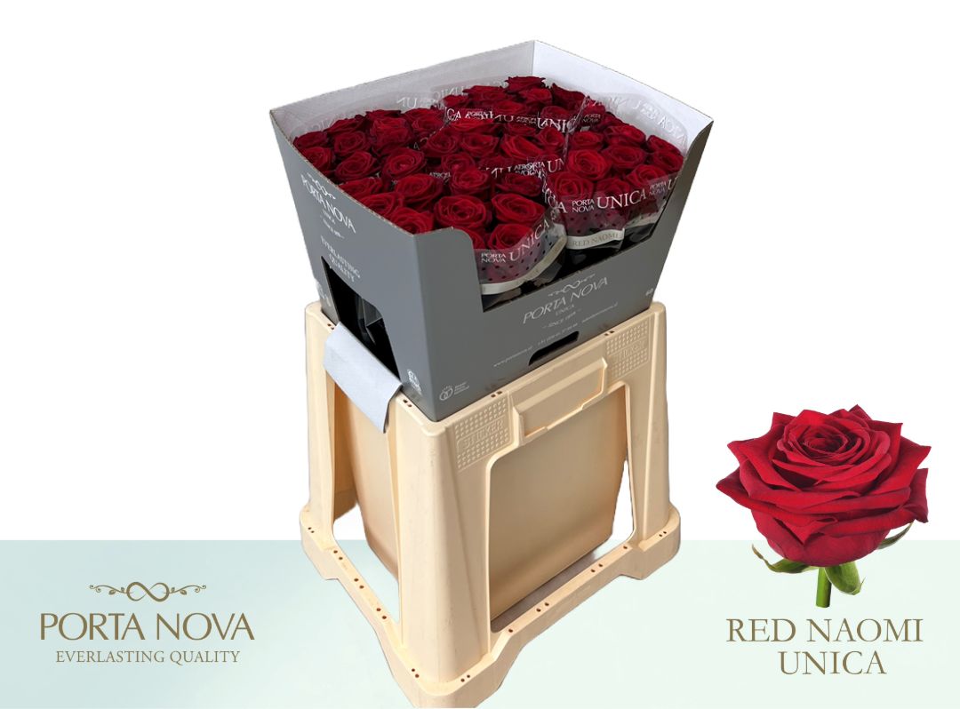 R Gr Red Naomi!