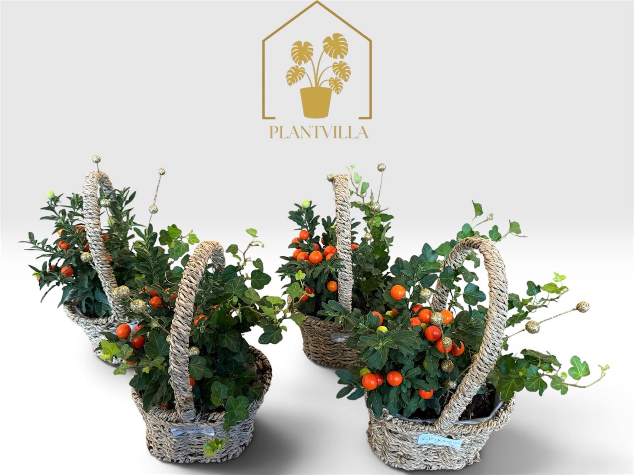 Arrangement Garden Plants 18Ø
