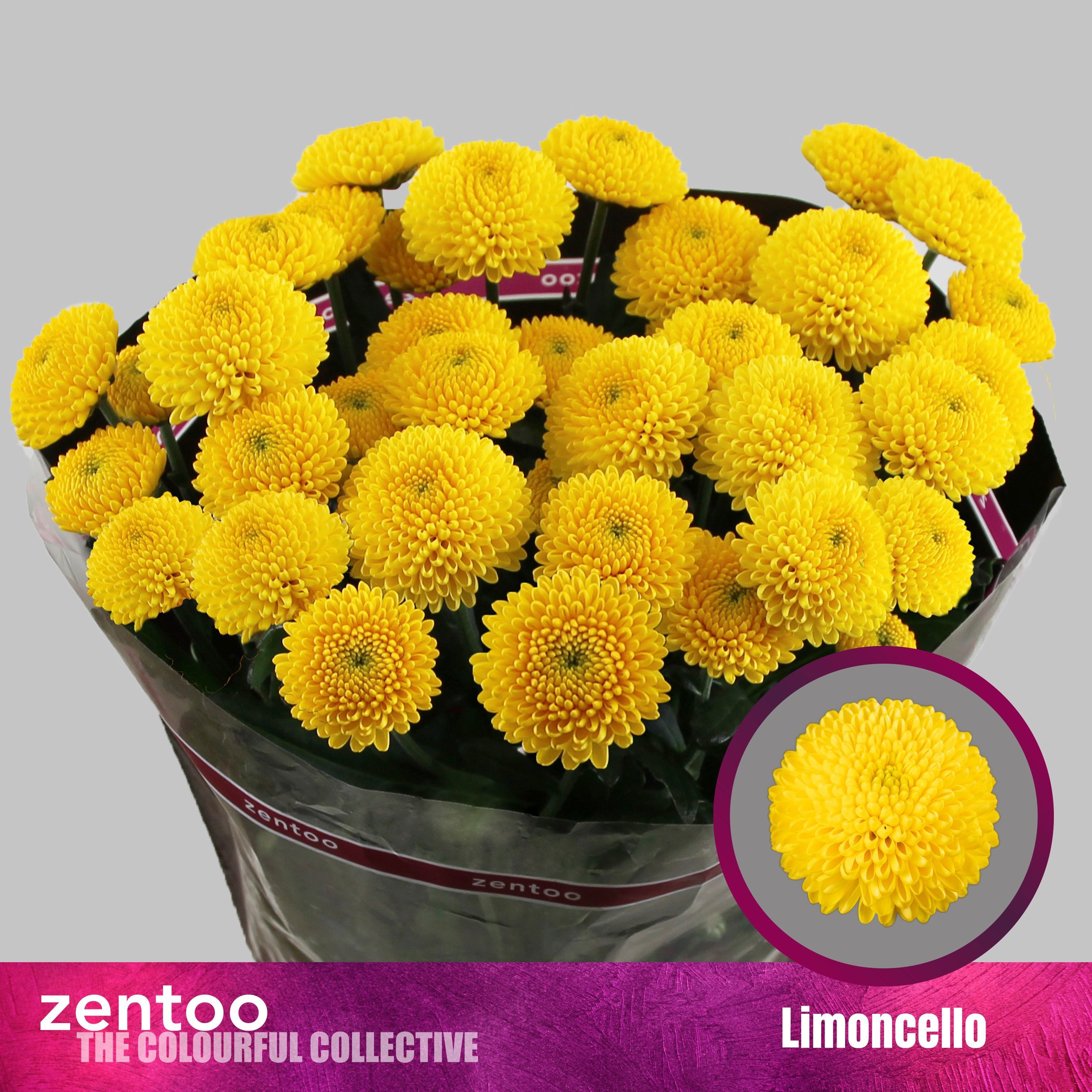 Chr T Limoncello