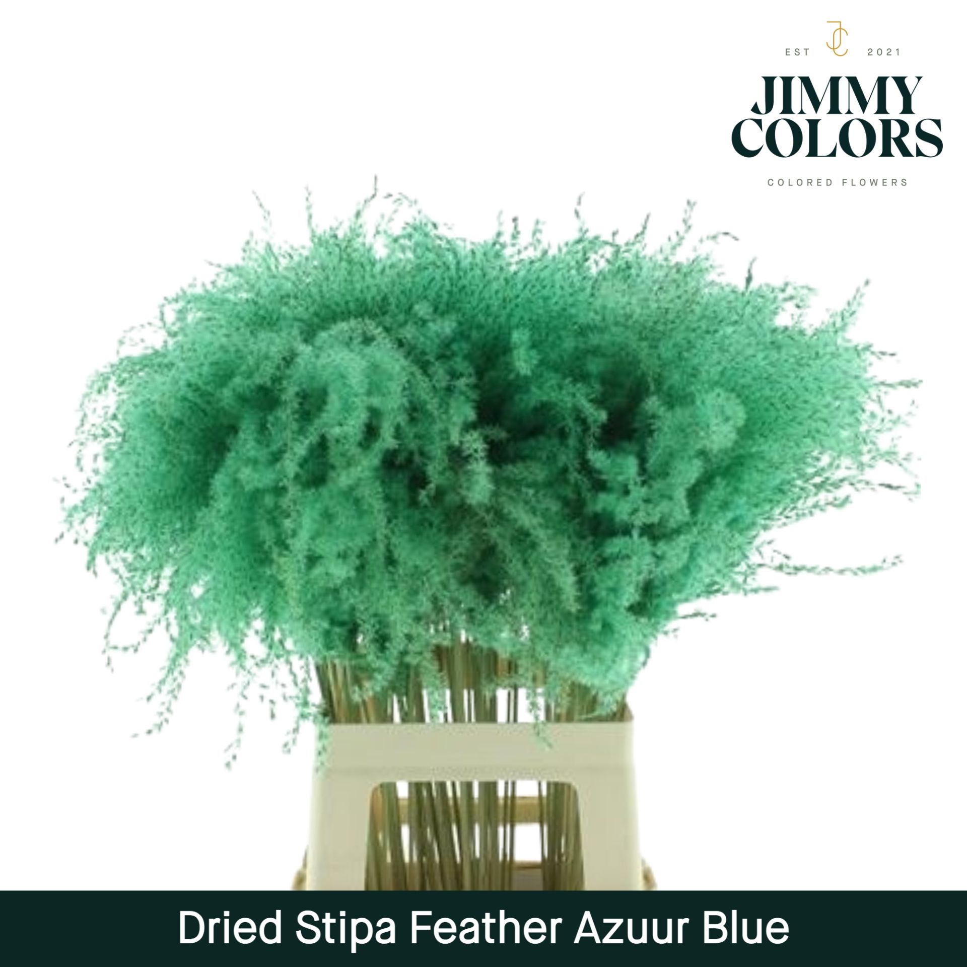 Dried Stipa Feather Azuur Blauw