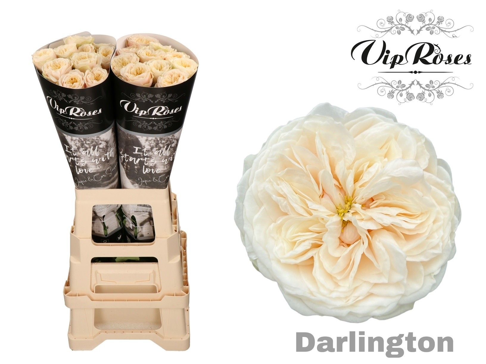 R Gr Darlington