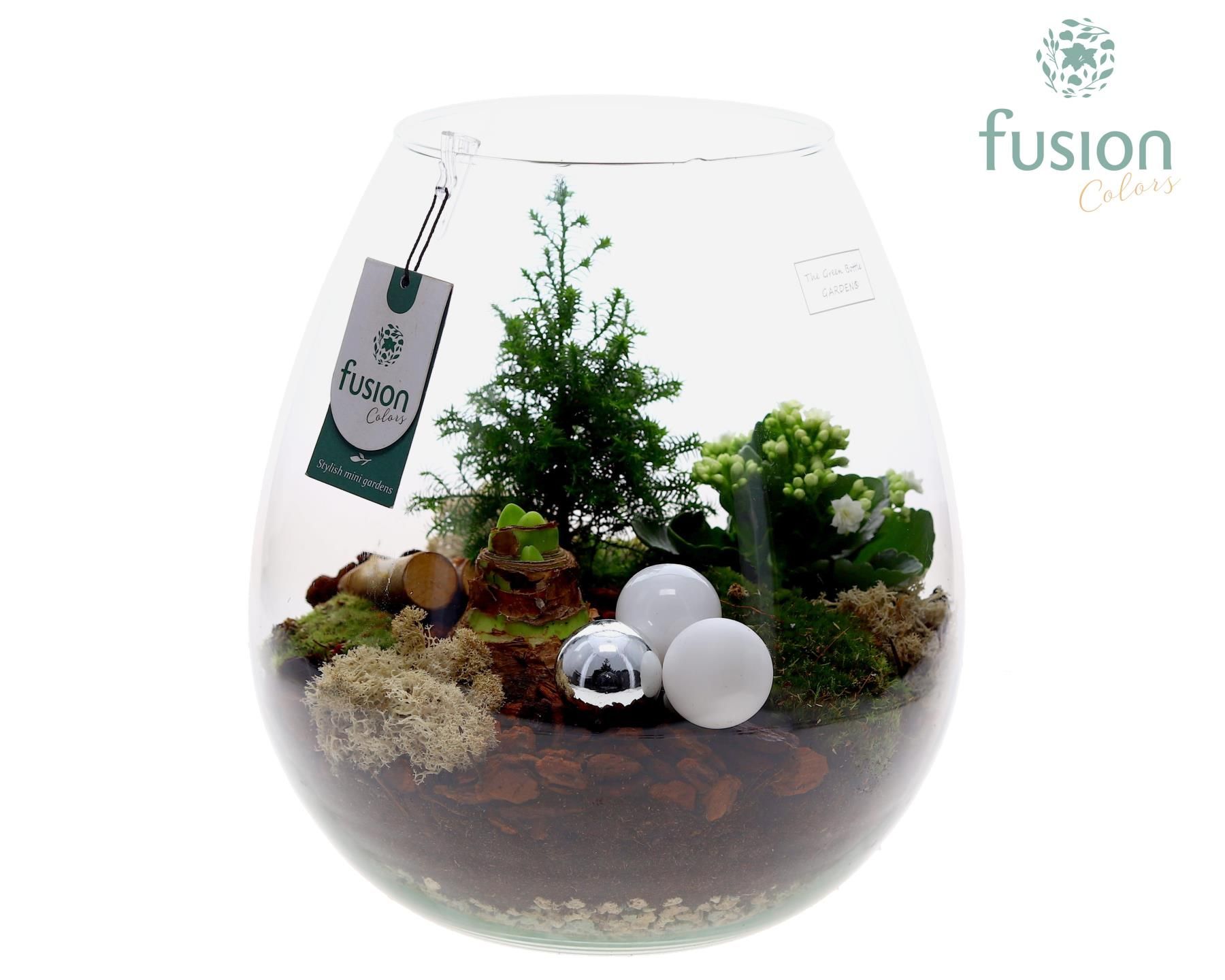 Picture of X-Mas arrangement Green Bottle Abby XLarge FC-23.1195FDH P29 29CM (LOOSE)