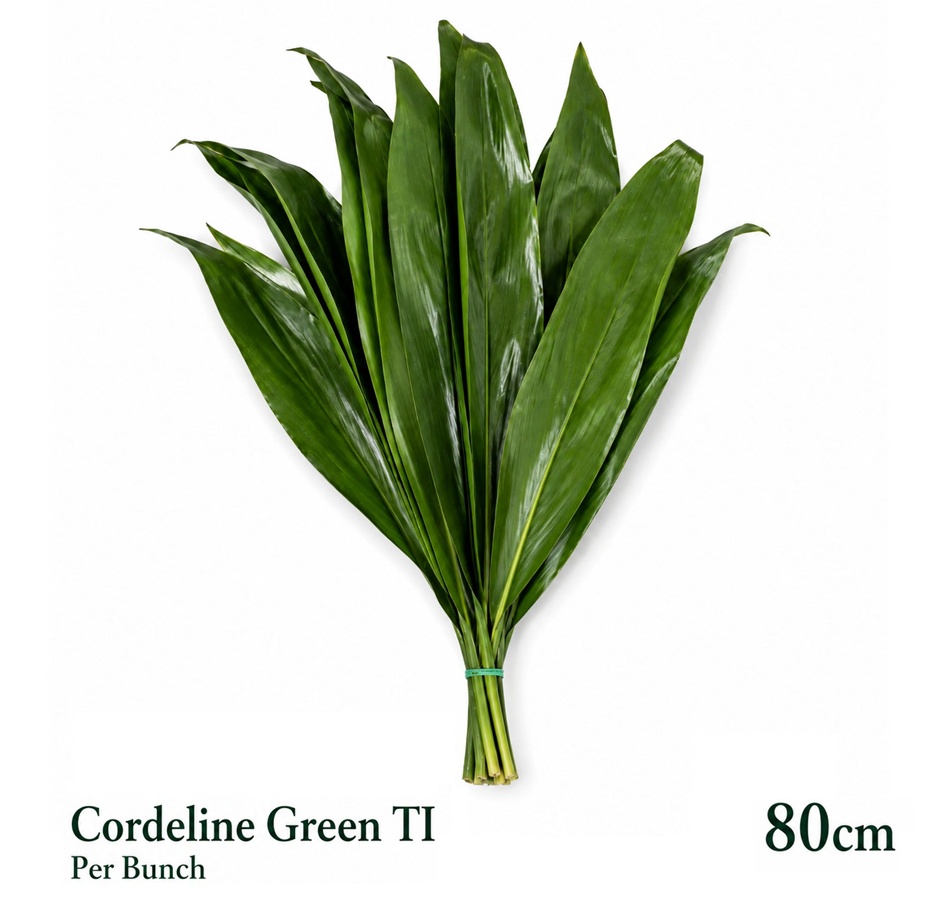 Cord Fr Green Ti