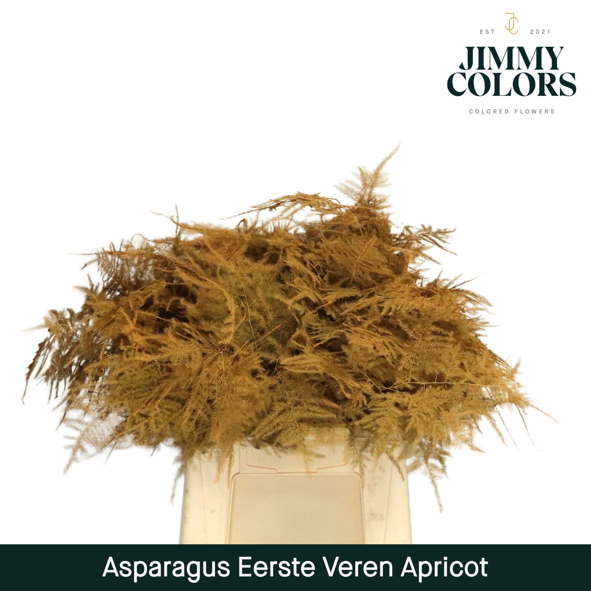 Aspa 1ste Veren Apricot