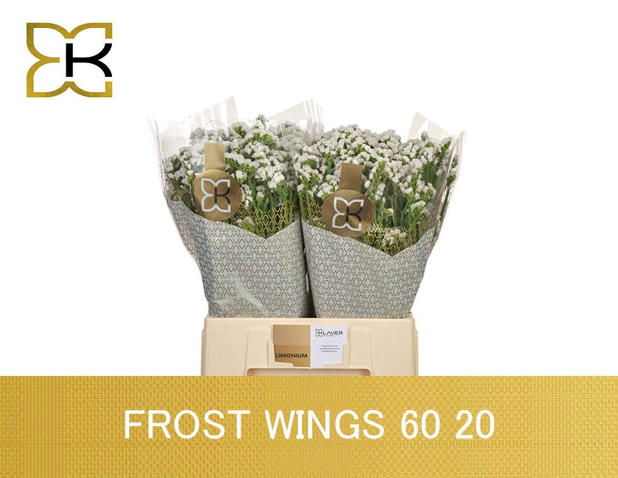 Lim S Frost Wings