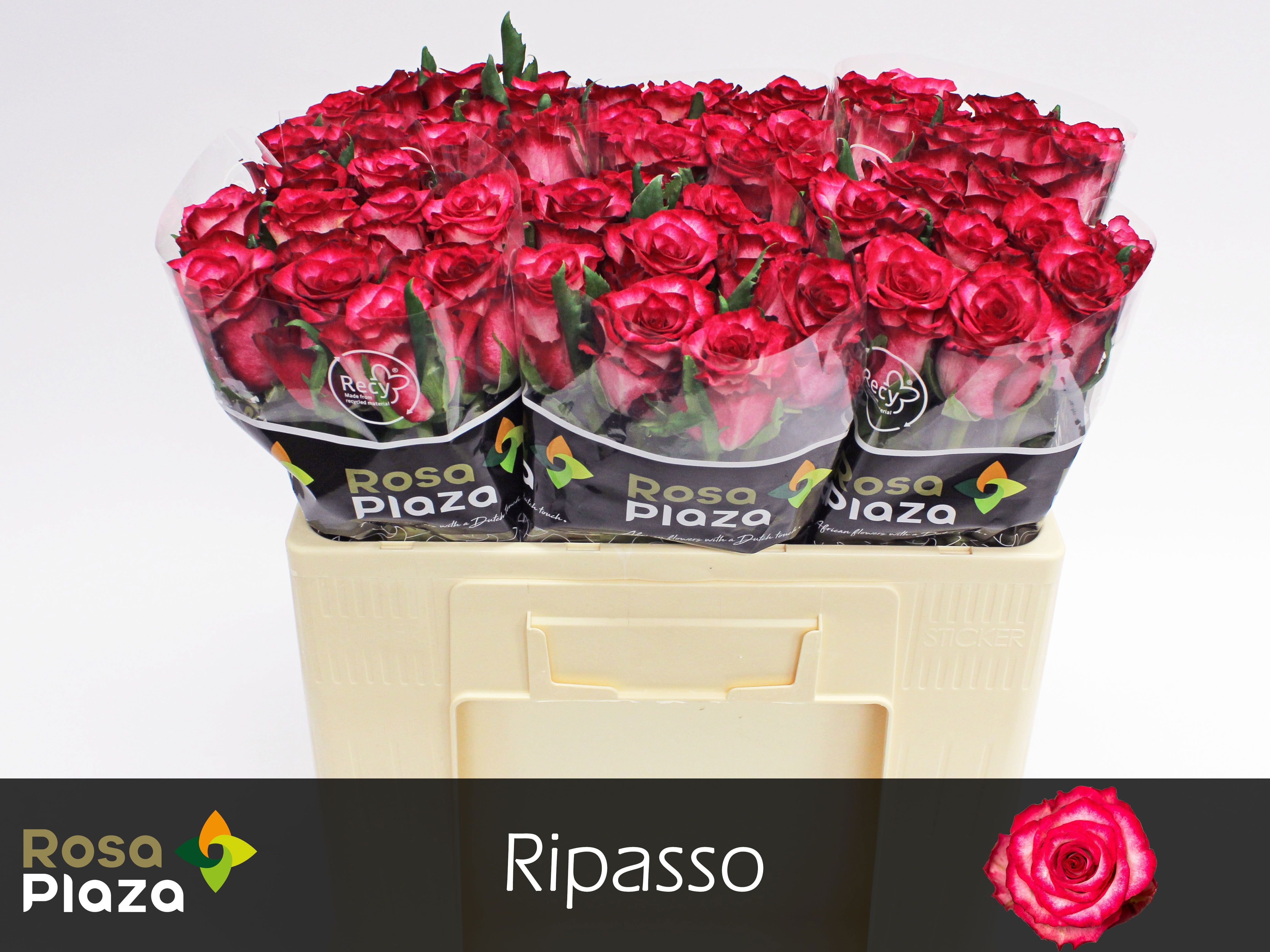 R Gr Ripasso