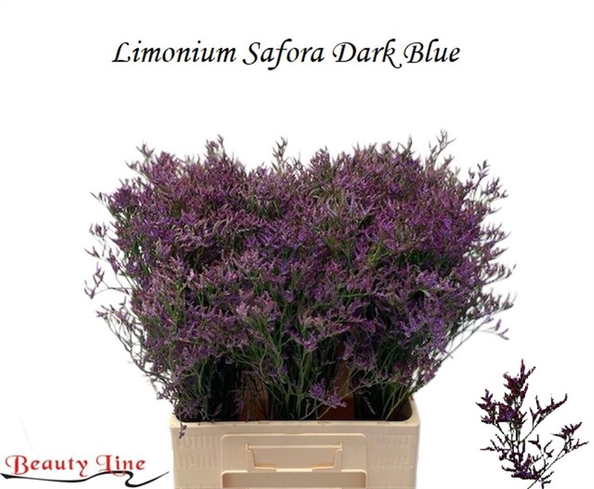 Lim Saf Dark Blue