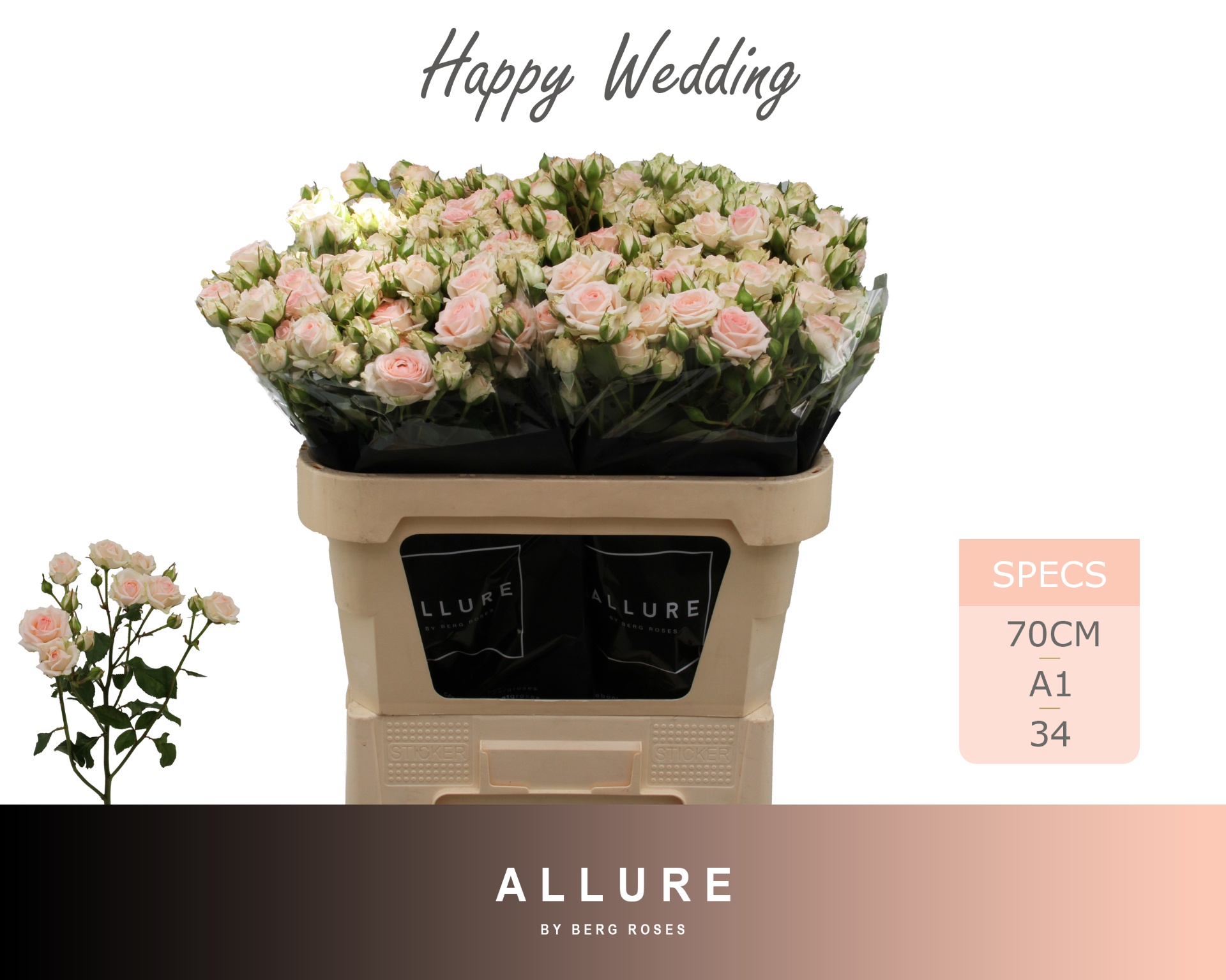 R Tr Happy Wedding 70cm