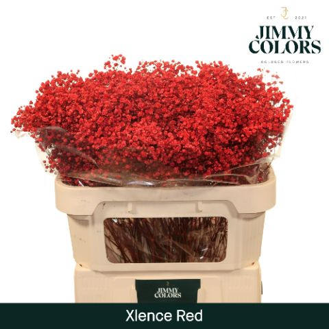 Gyps Xlence L70 Red