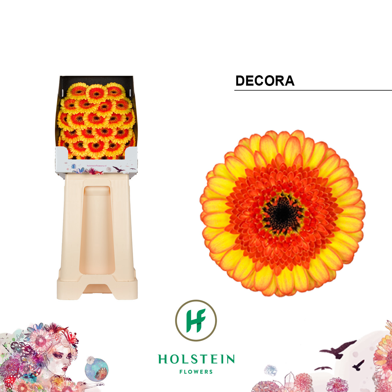Ge Mi Decora