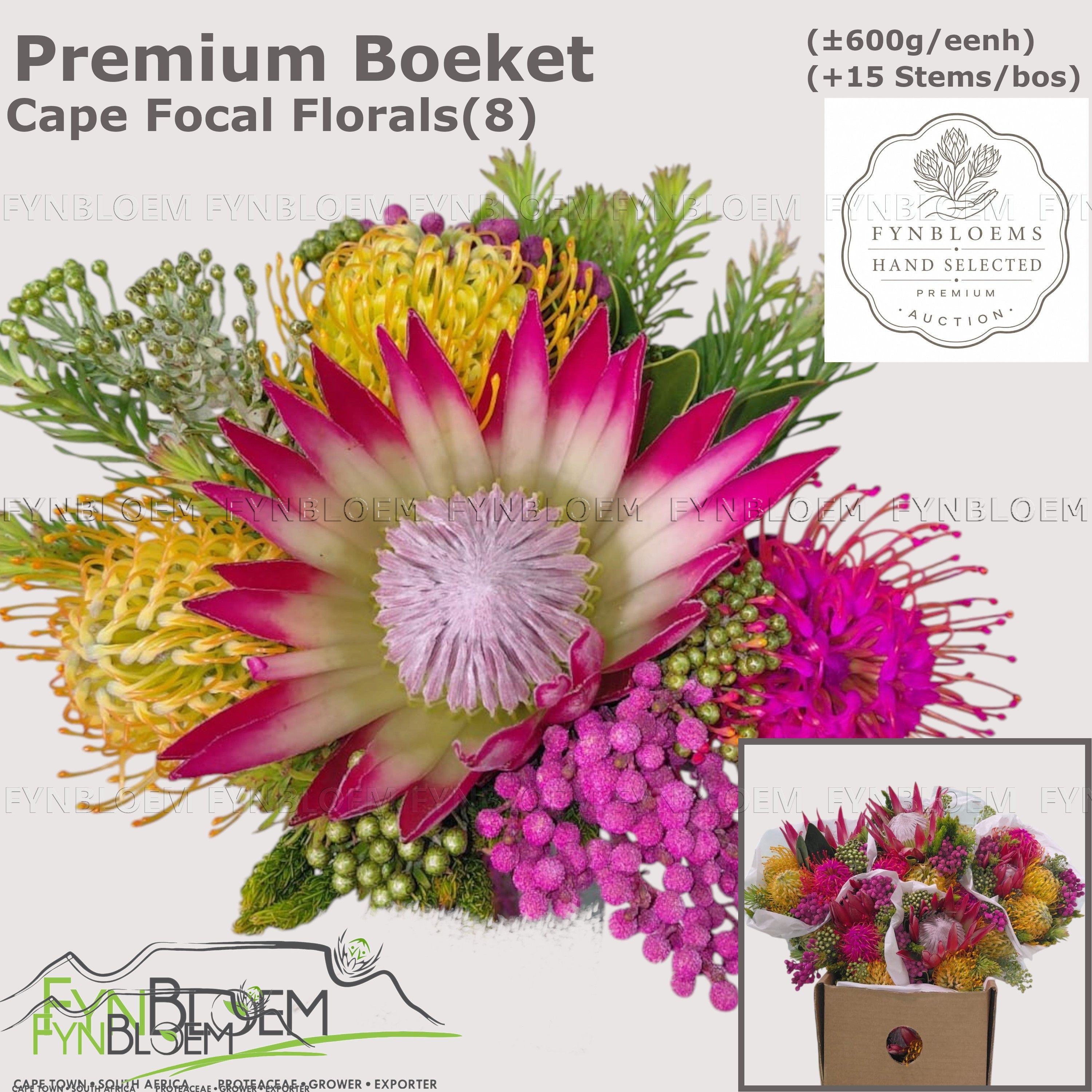 Protea Bouquet Per Bunch 40cm