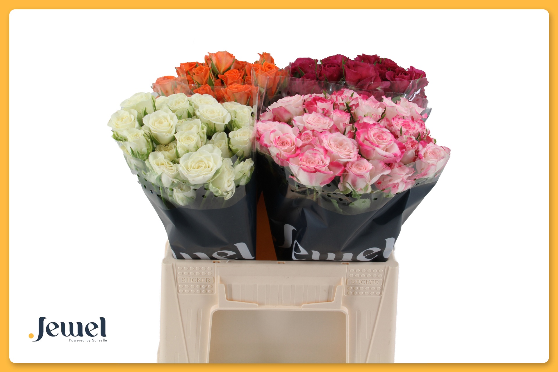 Rosa Spr Mixed In Bucket 40cm