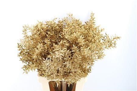 Dried/preserved Flowers Misc 60cm 18gram