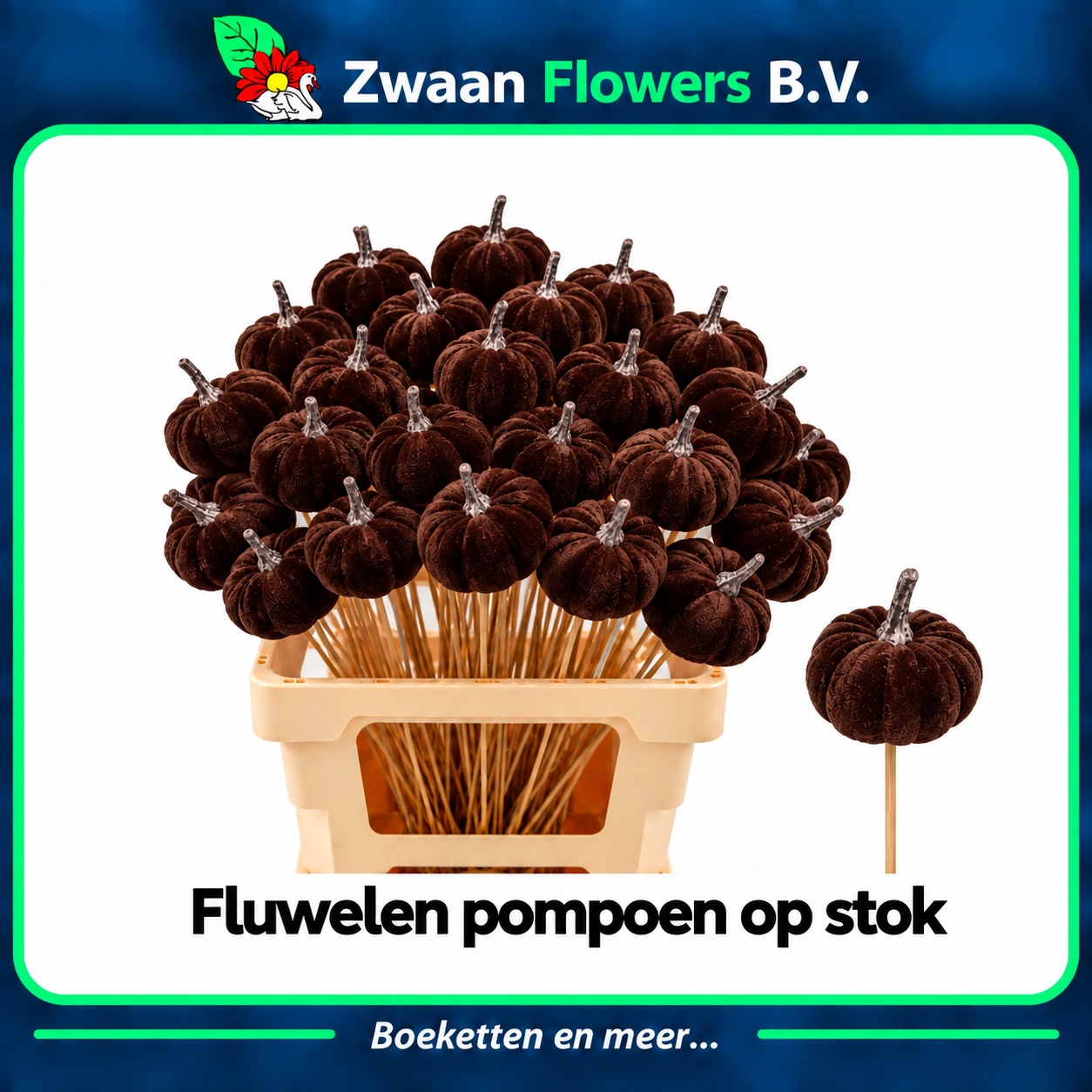 Huis En Tuindeco H%