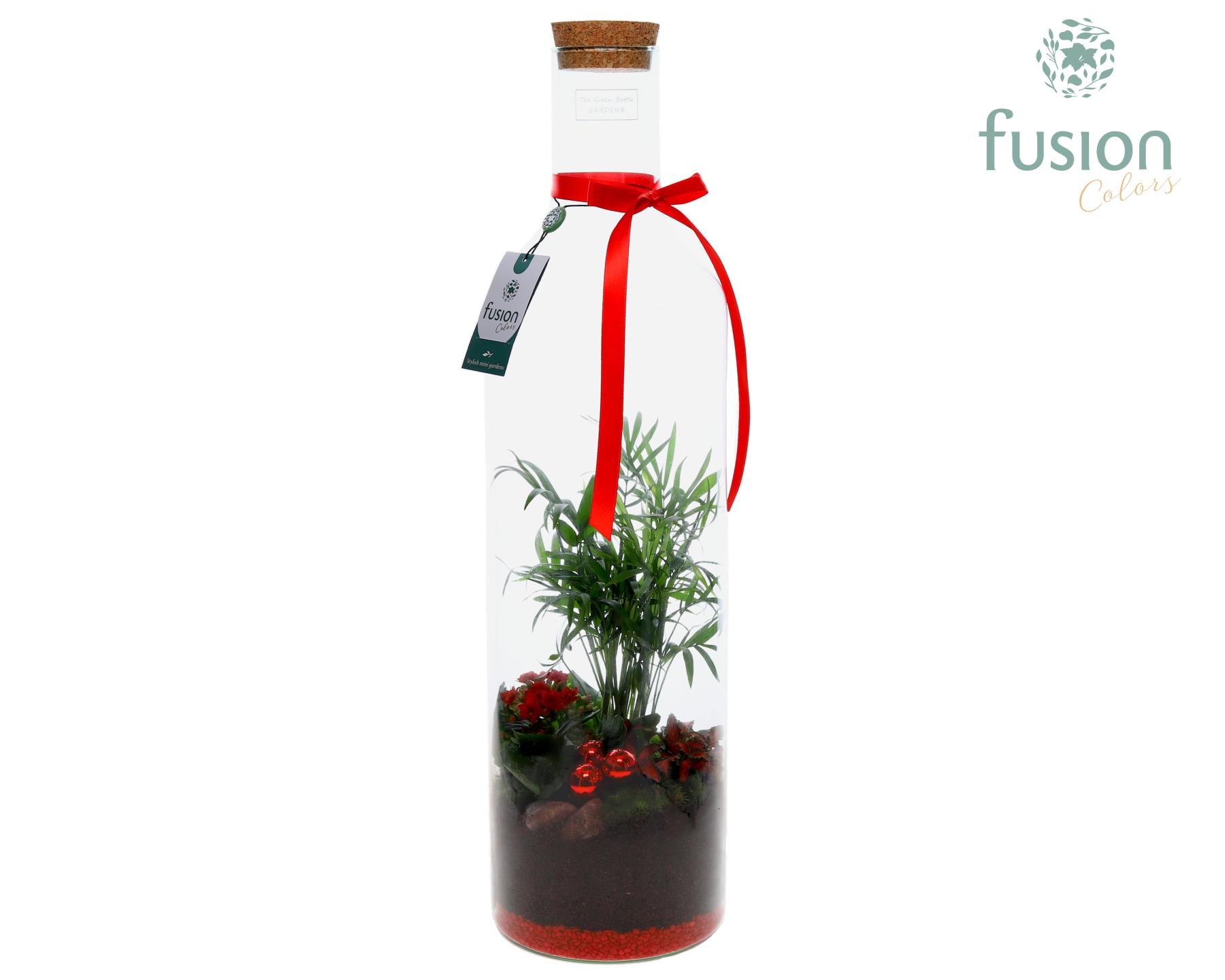 Picture of X-Mas arrangement Green Bottle X-Large FC-23.1402FDH P17 75cm