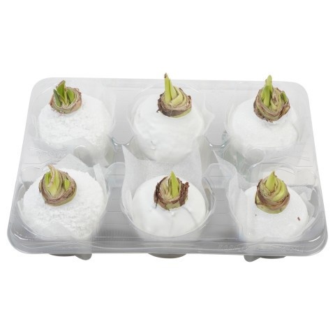 Dec Pt PTWAX944 Hipp Wax Decoratie