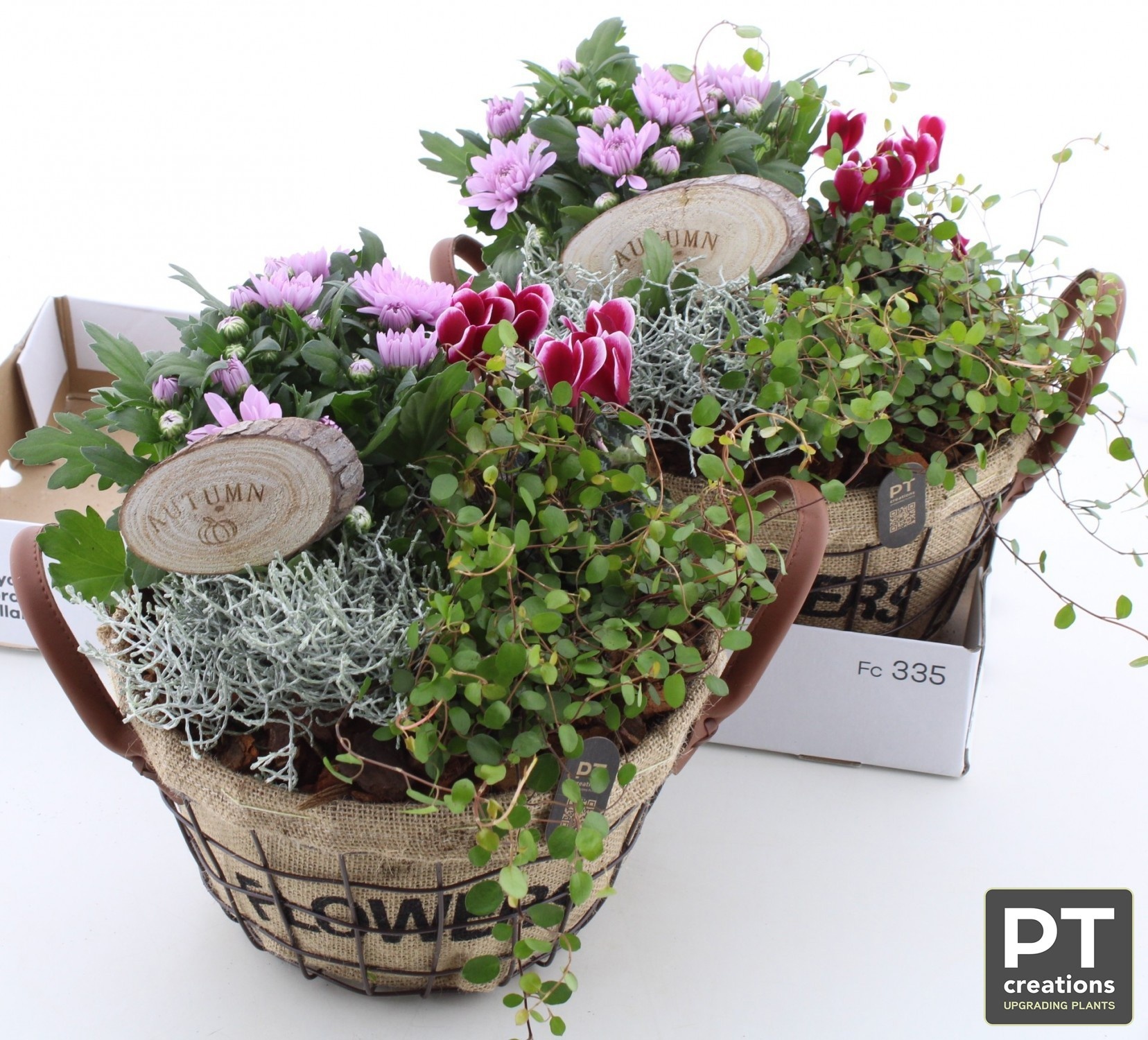Arrangement Garden Plants 29Ø 27cm