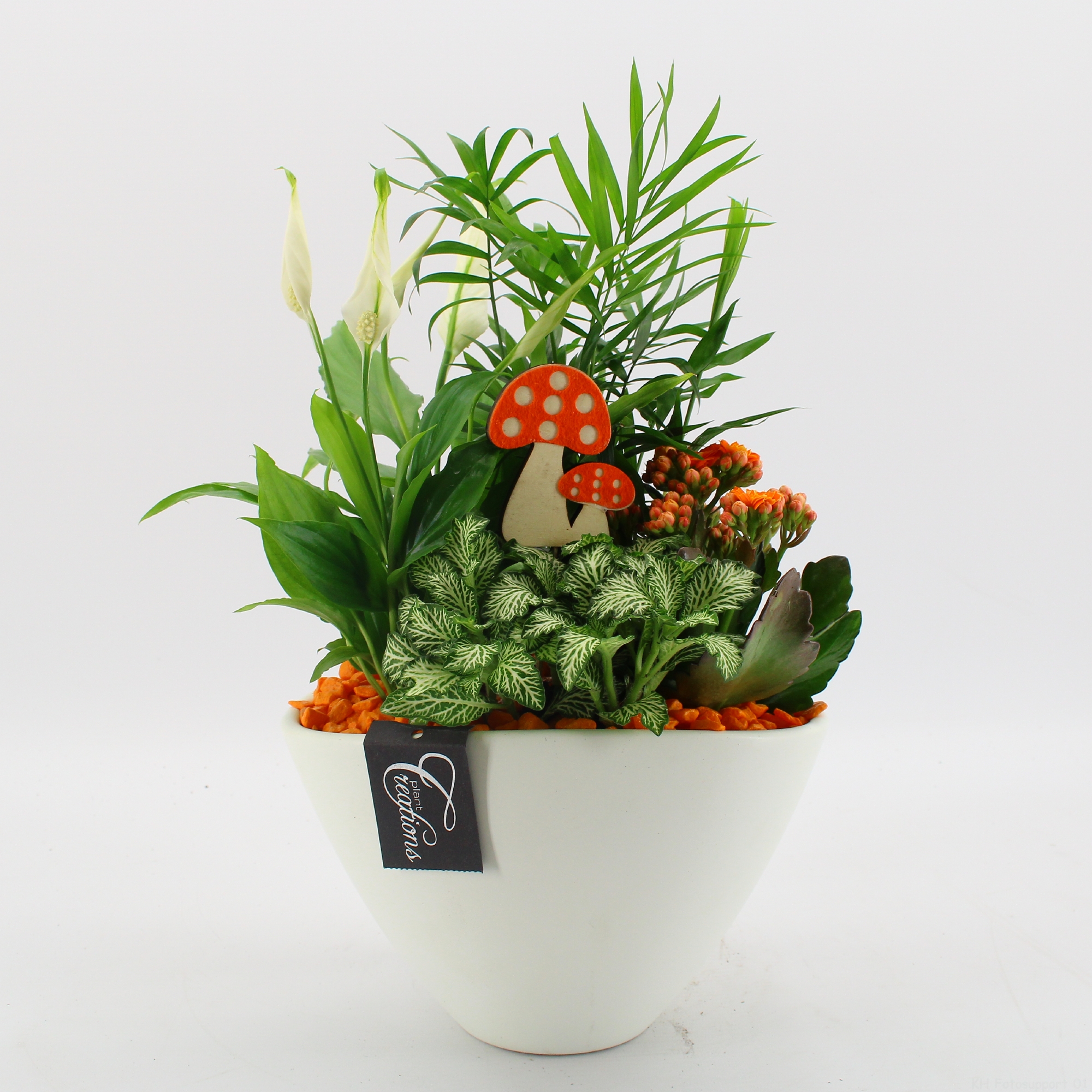 Picture of Arrangement indoor Autumn Fundamentals BHCR-2412 P21 40CM