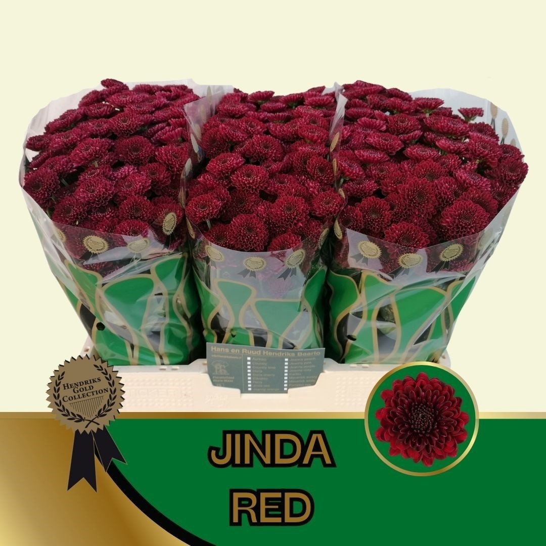 Chrys Santini Jinda Red 55cm 110Ø