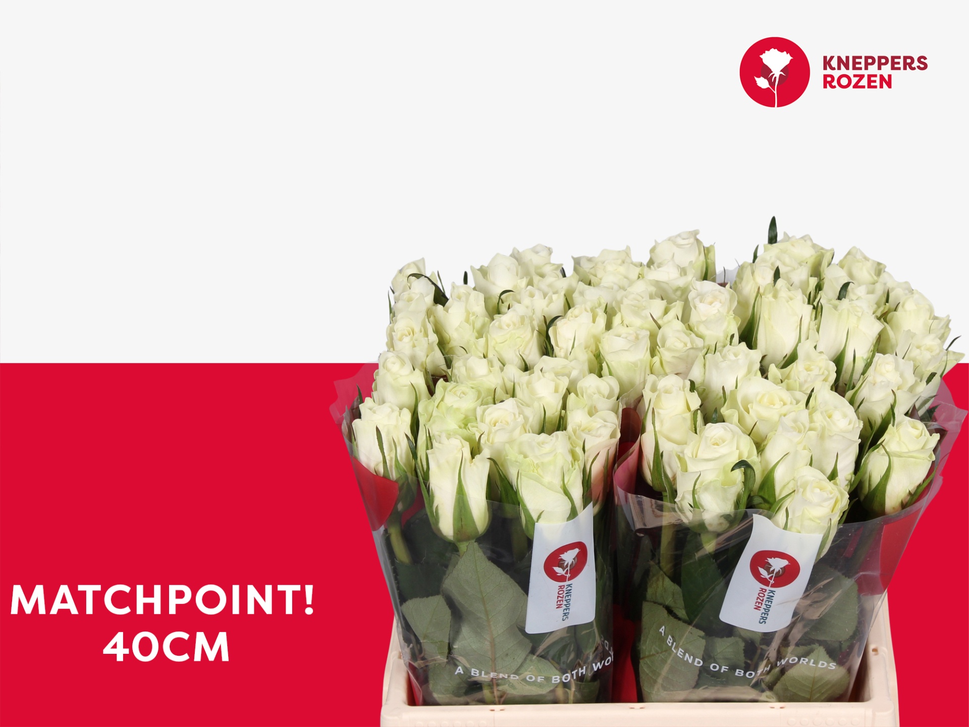 R Matchpoint! 40cm
