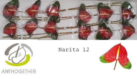 Anth A Narita