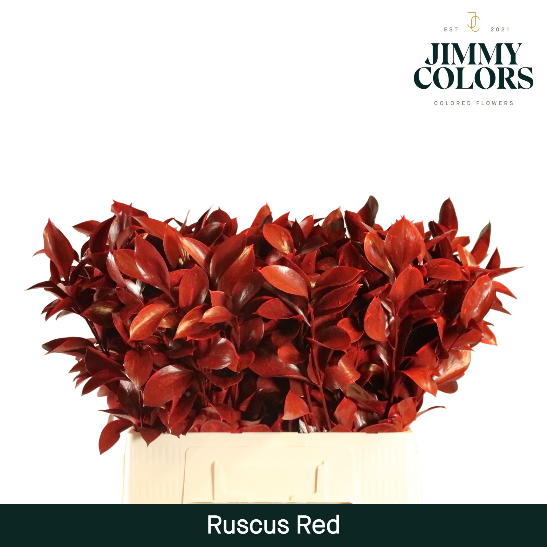 Ruscus L60 Red