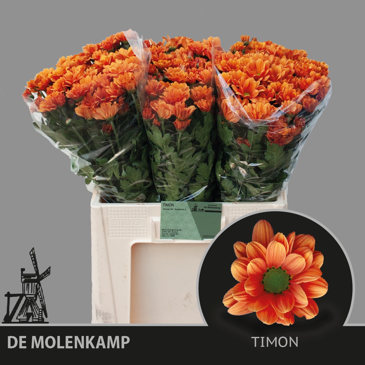 Chr T Timon 50gram