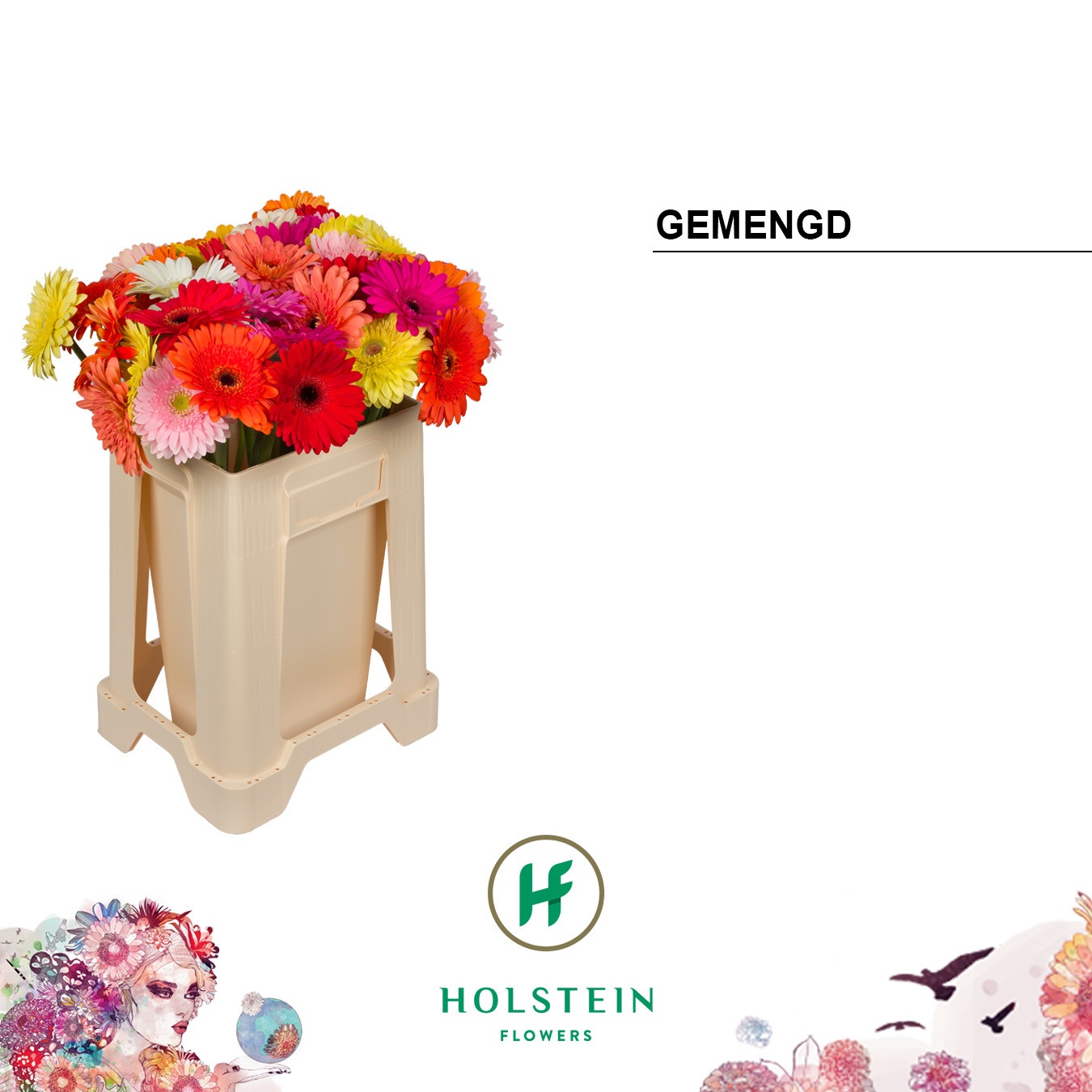 Ge Gr Gem 50L.cm
