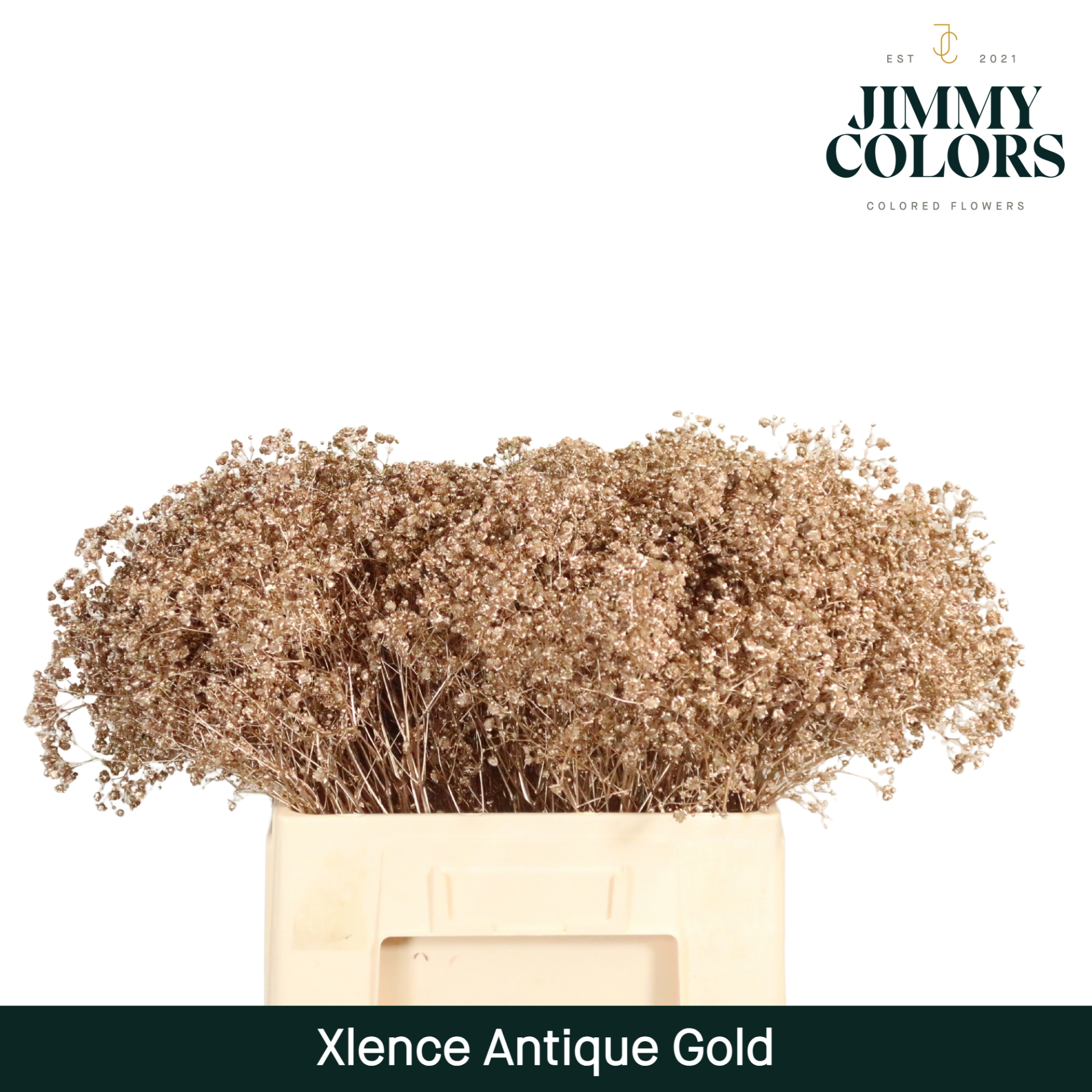 Gyps Xlence L60 Mtlc. Antique Gold