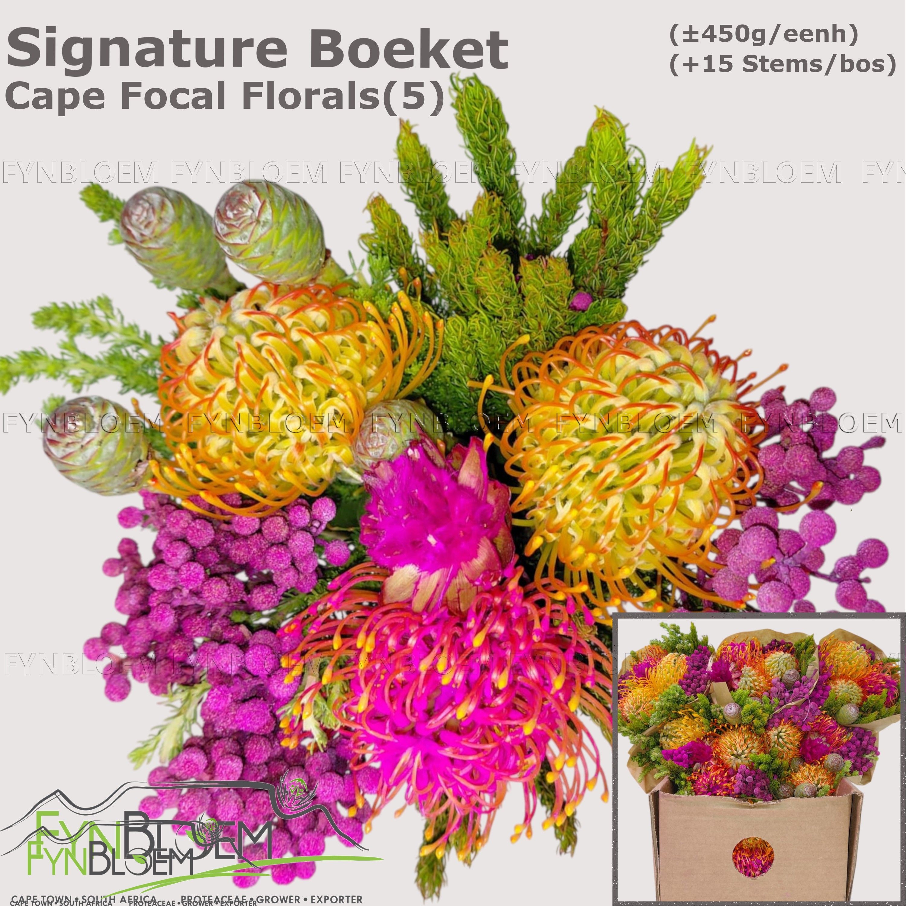 Protea Bouquet Per Bunch 40cm
