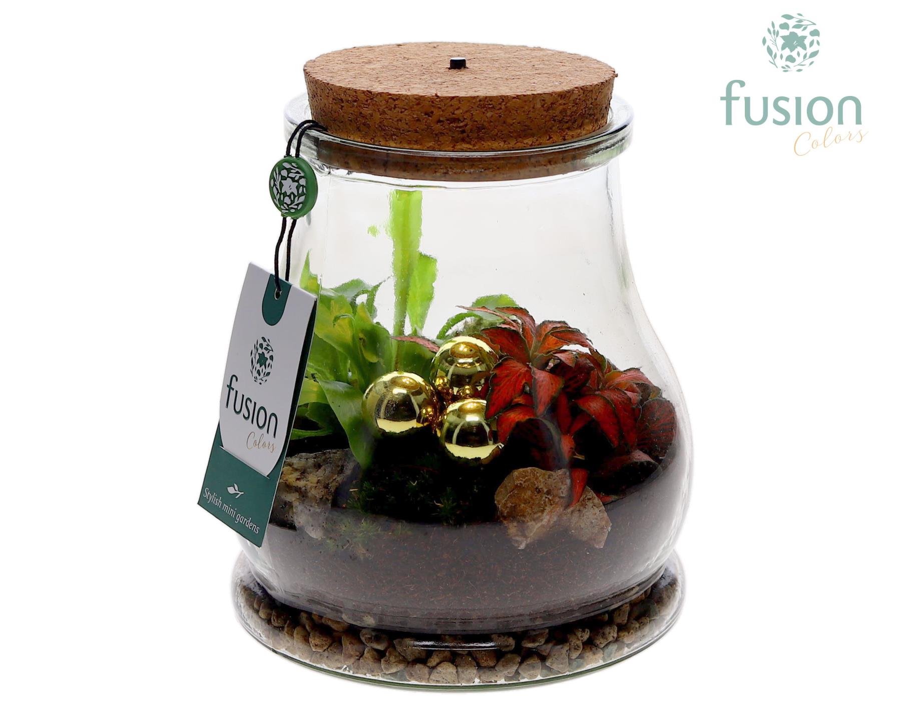 Picture of X-Mas arrangement Terrarium LED FC-24.0194FDH P15 20CM