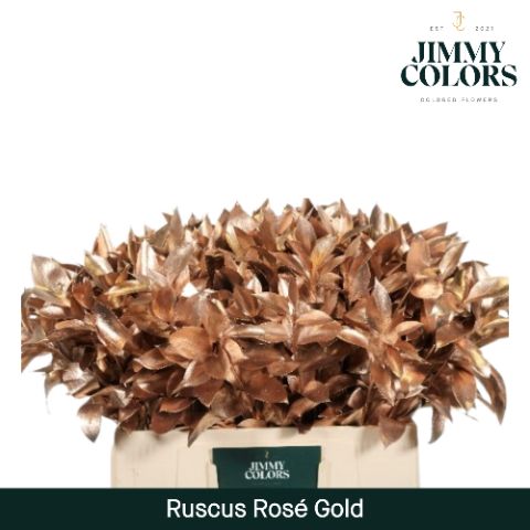 Ruscus L60 Mtlc. Rose Gold