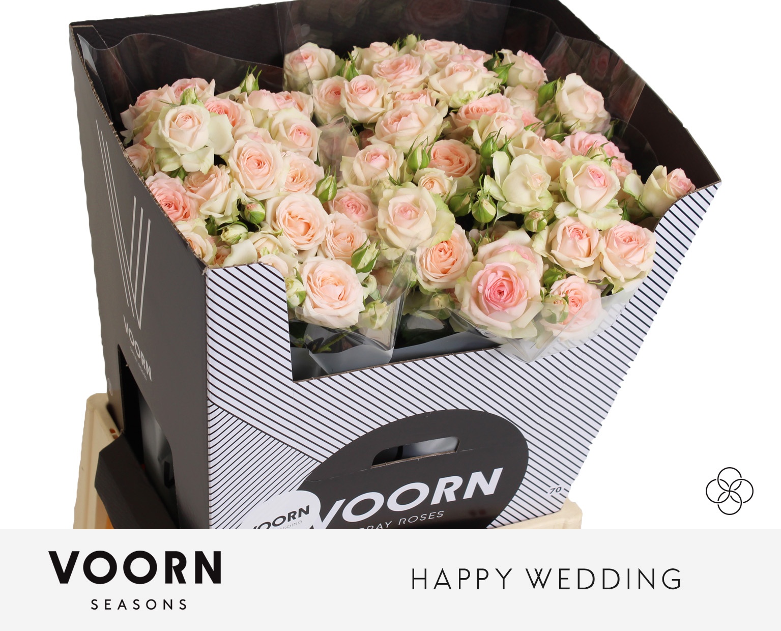 R Tr Happy Wedding 70cm