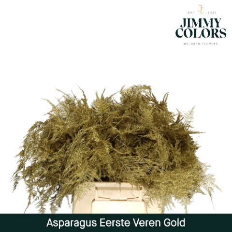Aspa 1ste Veren + Glitter Gold + Glitter