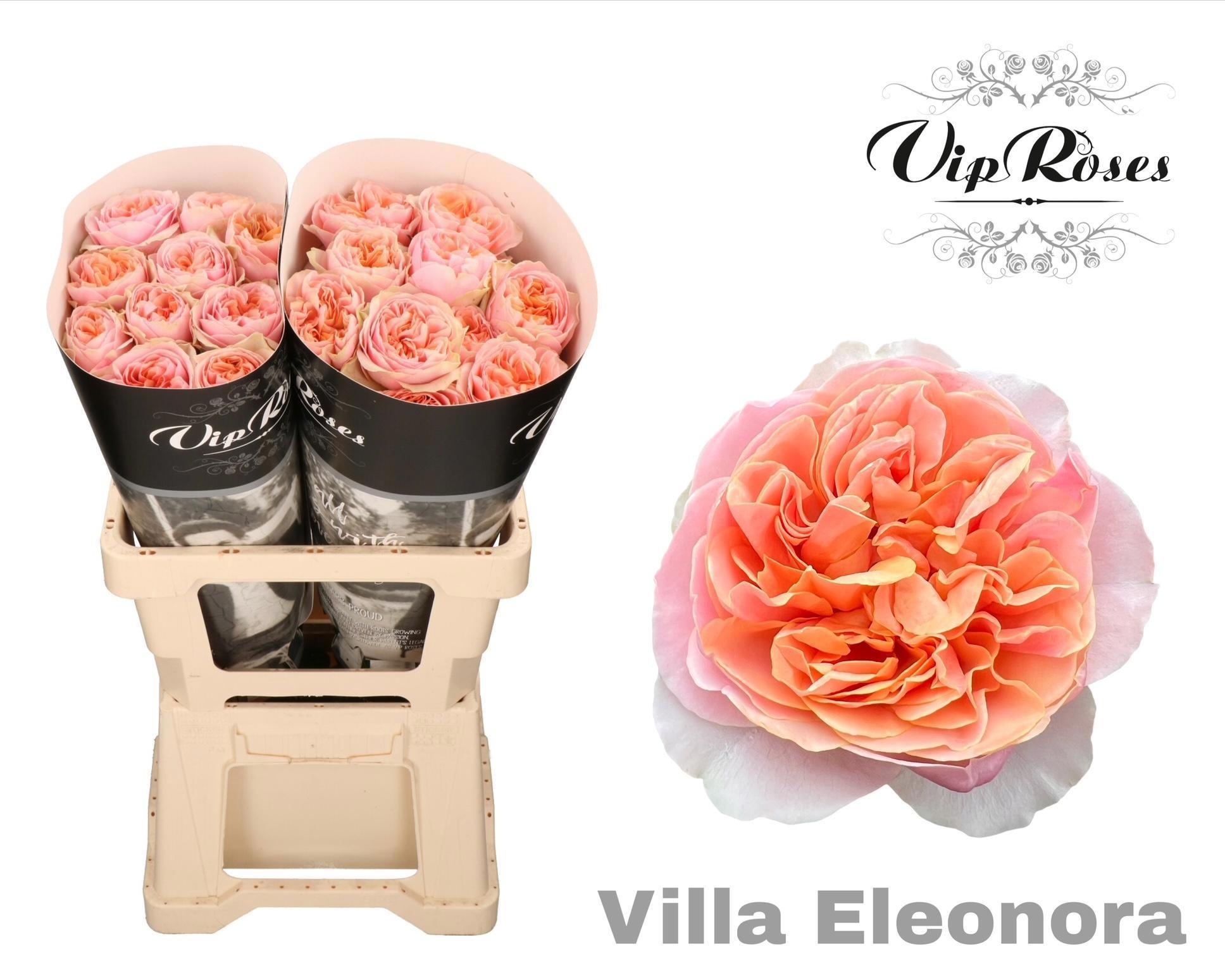 R Gr Villa Eleonora