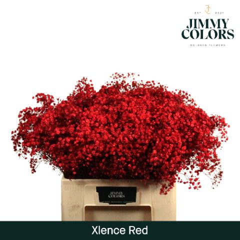 Gyps Xlence L60 Red