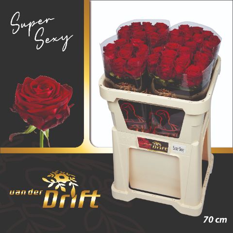 R Gr Red Naomi!