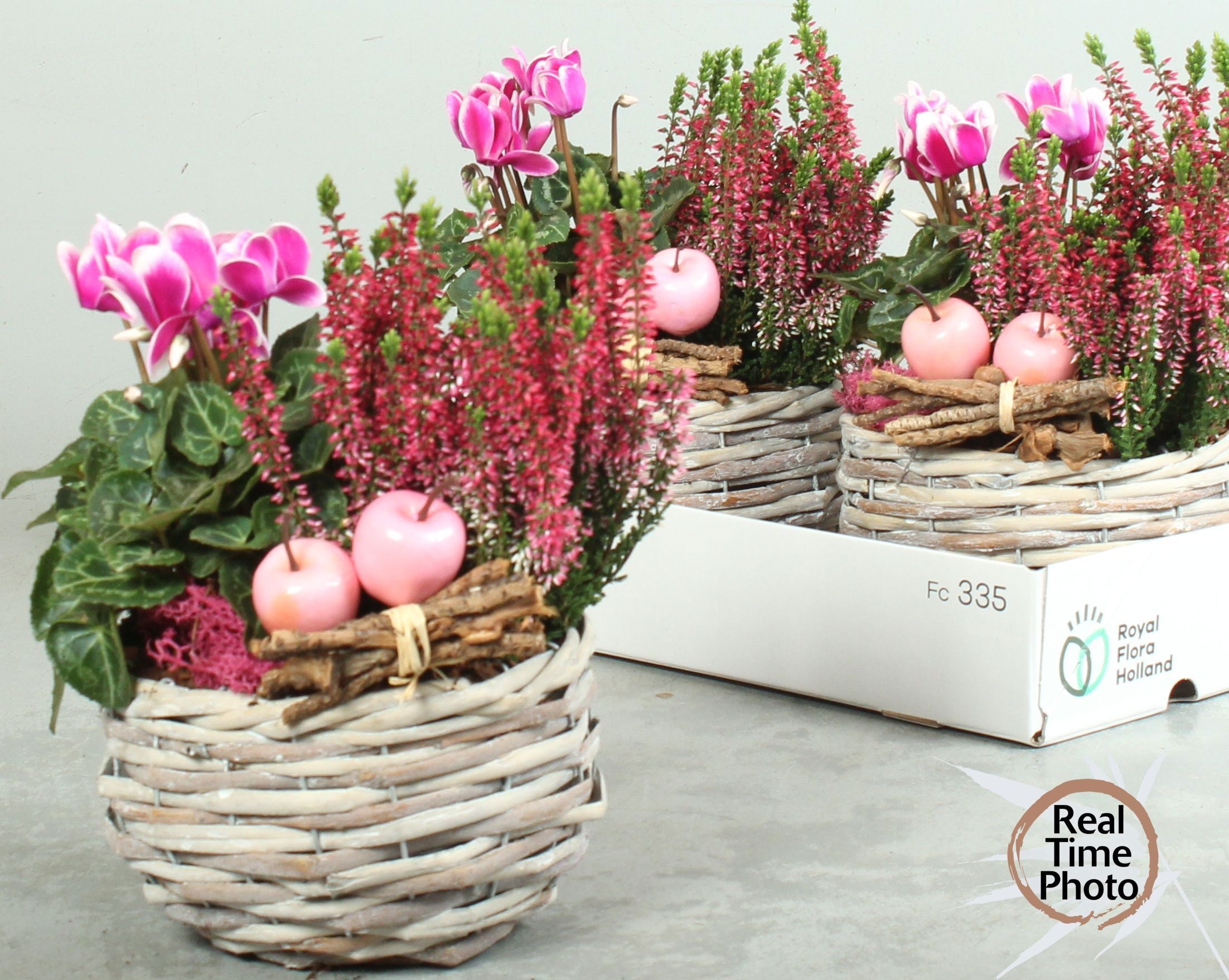 Arr Tuinplanten 18P 35cm
