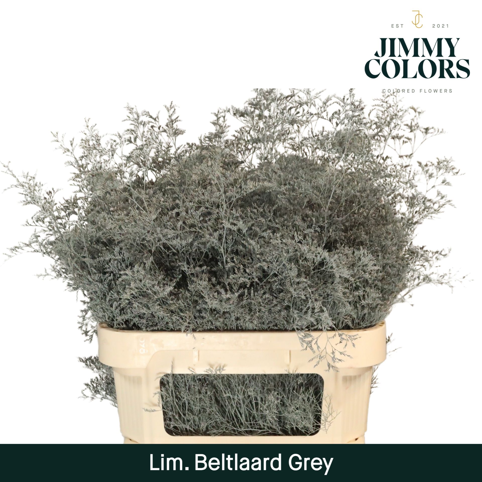 Lim Bel L90 Grey