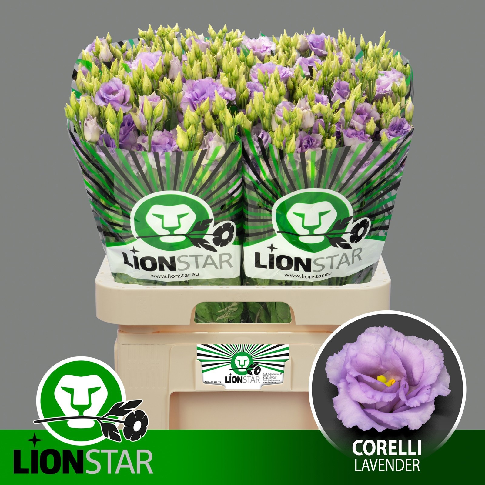 Lisianthus Double Corelli Lavender 70cm