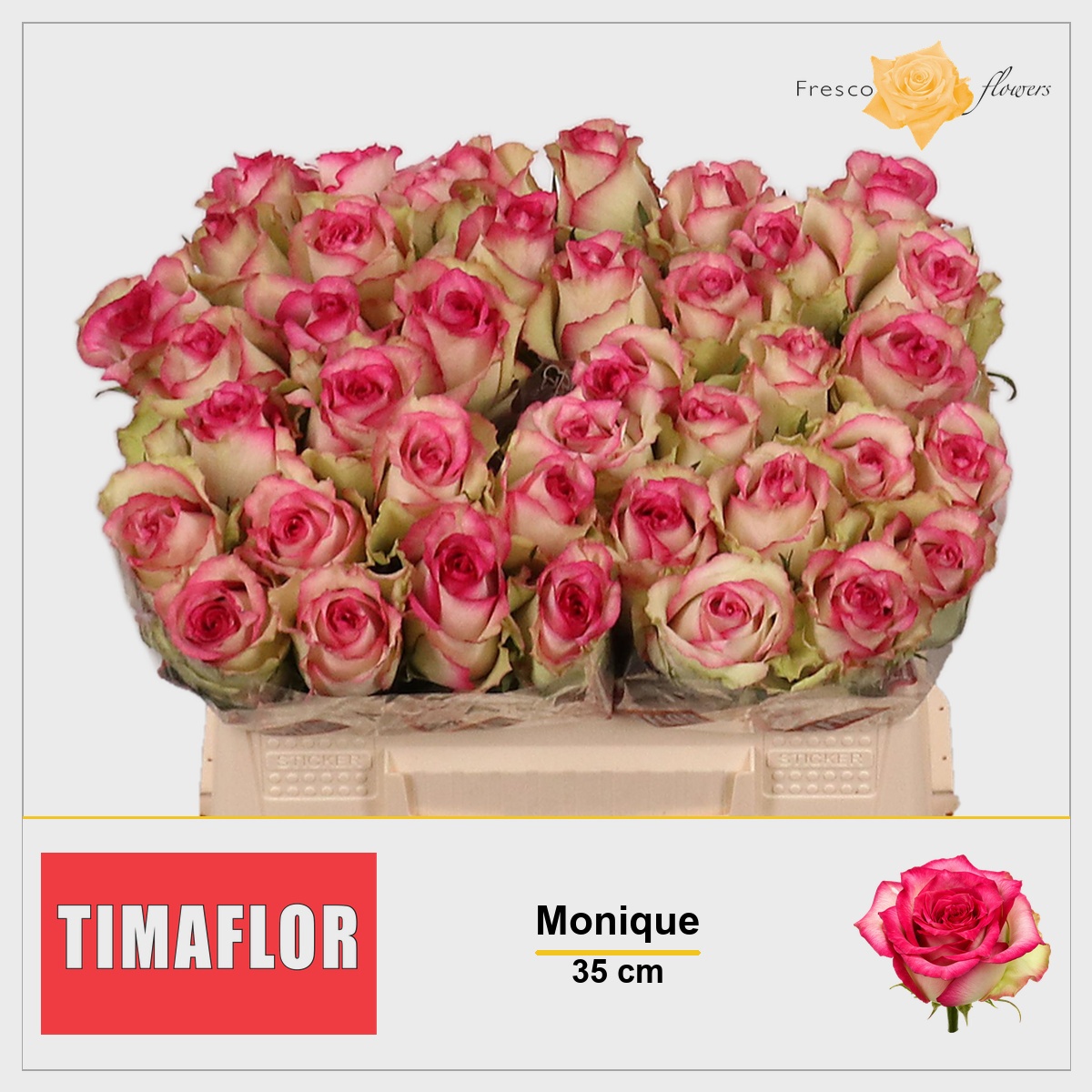 Rosa Monique 35cm