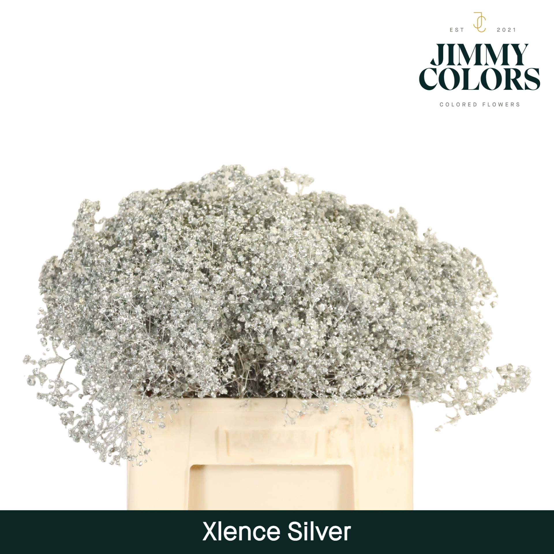 Gyps Xlence L60 Mtlc. Silver