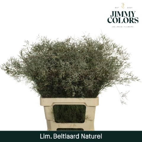 Lim Bel L70 Naturel