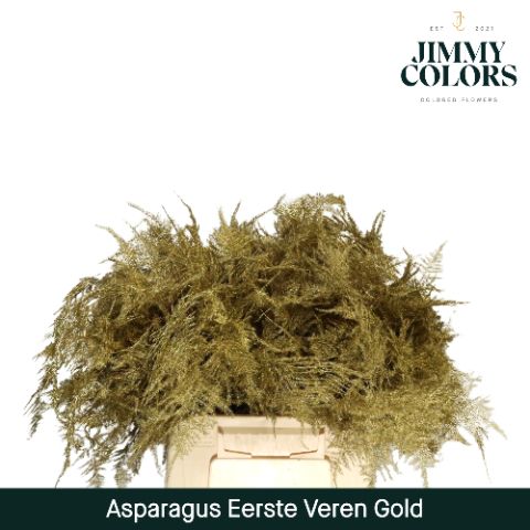 Aspa 1ste Veren Gold