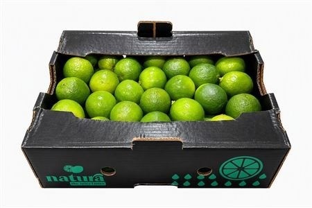 Ornamental Fruits Per Tray